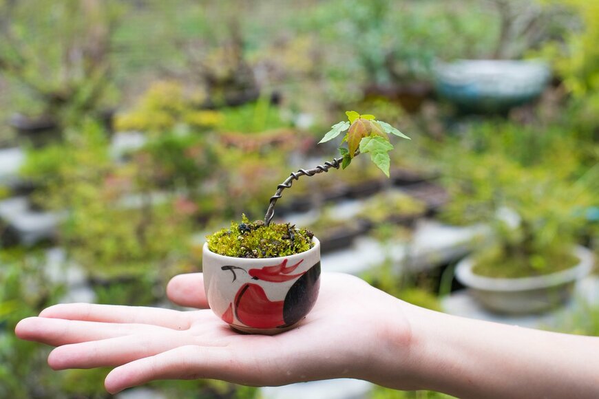 JIMKOJI/shutterstock.com