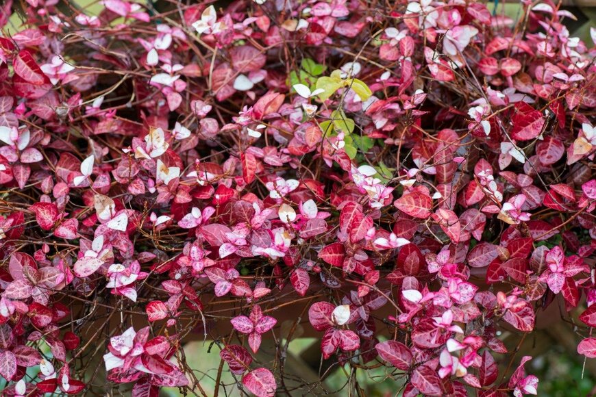 itasun/istockphoto.com