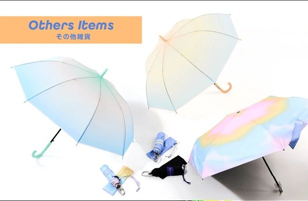 画像出所：ダイソー公式サイト