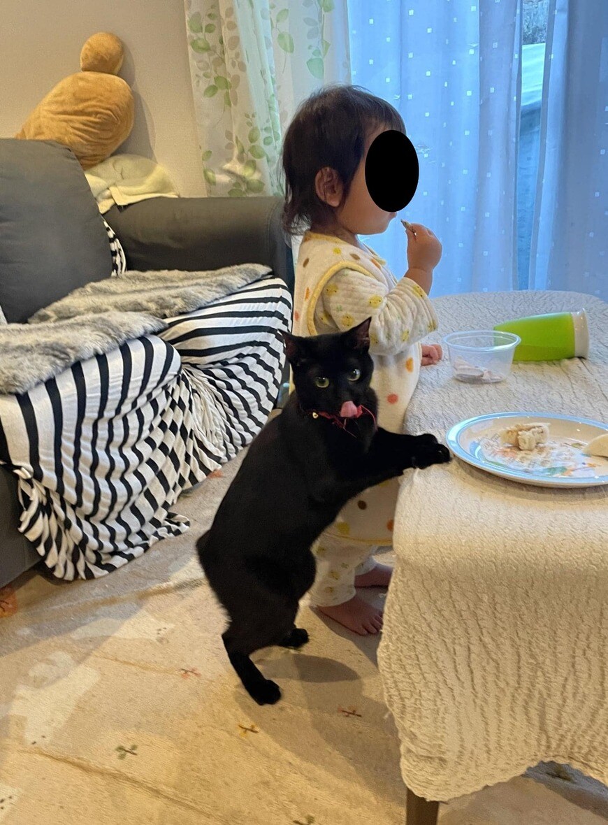 出所：@R453374510