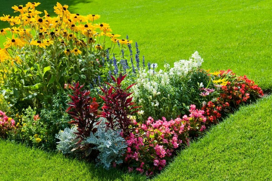 AlinaMD/shutterstock.com