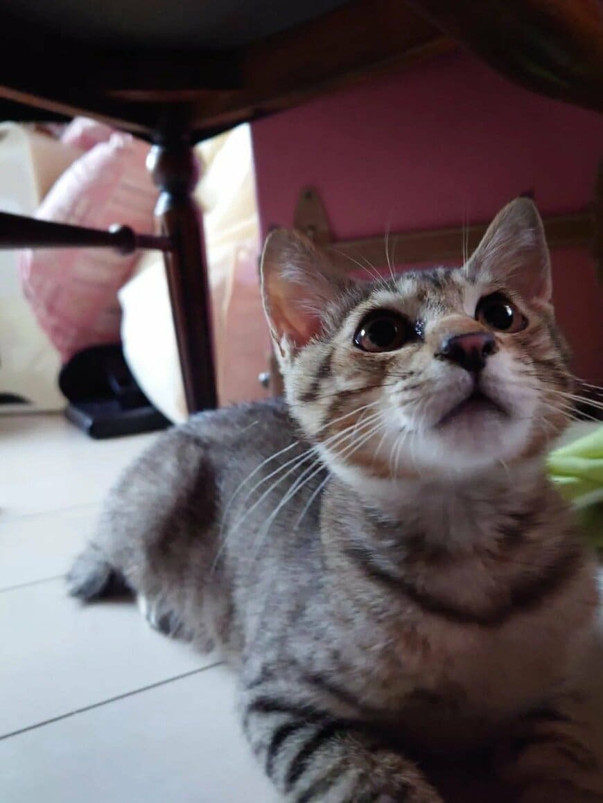 出所：@mi.sa.to0401