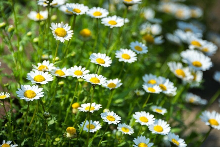 Kazzpix/istockphoto.com