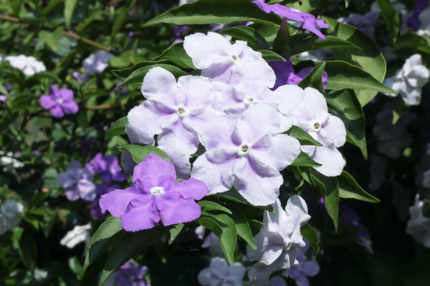 nuttapong/istockphoto.com