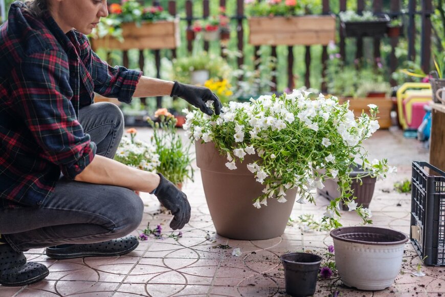 Olezzo/shutterstock.com