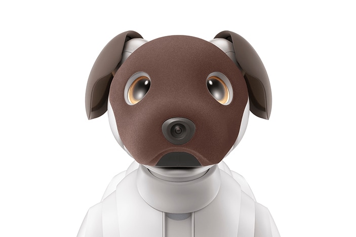 出所：ソニーグループ株式会社