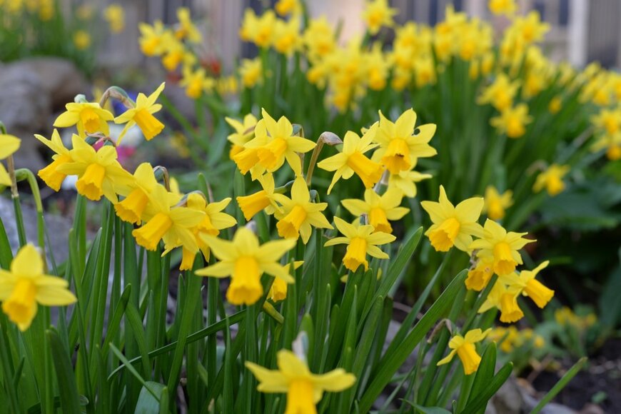 Watchareeporn A/shutterstock.com