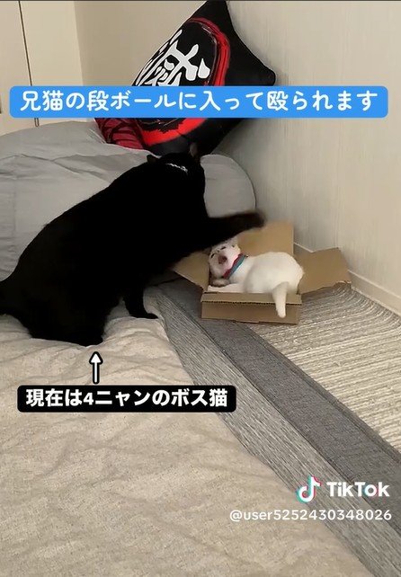 出所：@user5252430348026