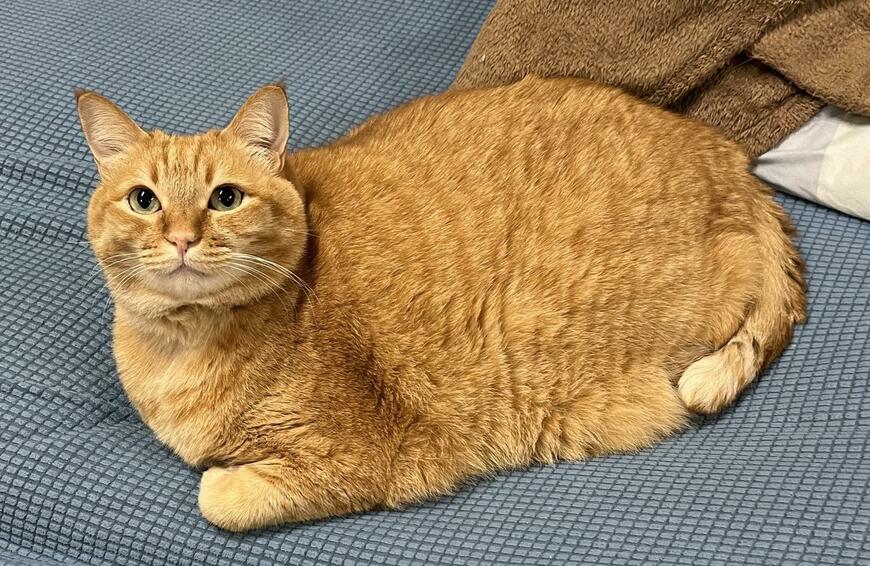 出所：@kagisuzu0531