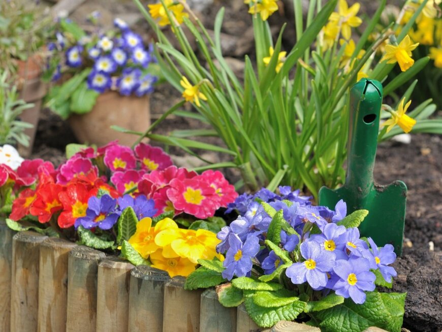 sanddebeautheil/shutterstock.com