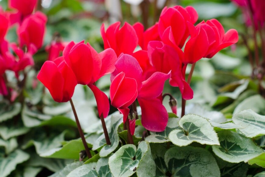 joloei/istockphoto.com