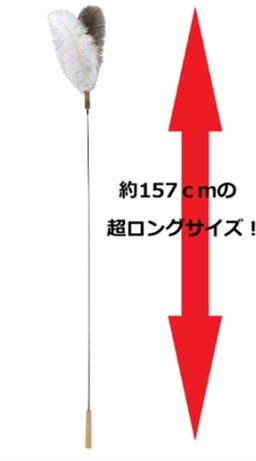 出所：ホームセンター コメリドットコム Petami　超ロング猫じゃらし