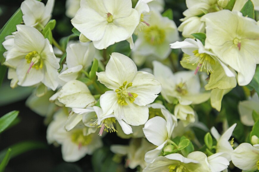 ValerijaP/istockphoto.com