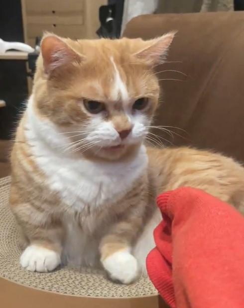 出所：@kotaro_0315