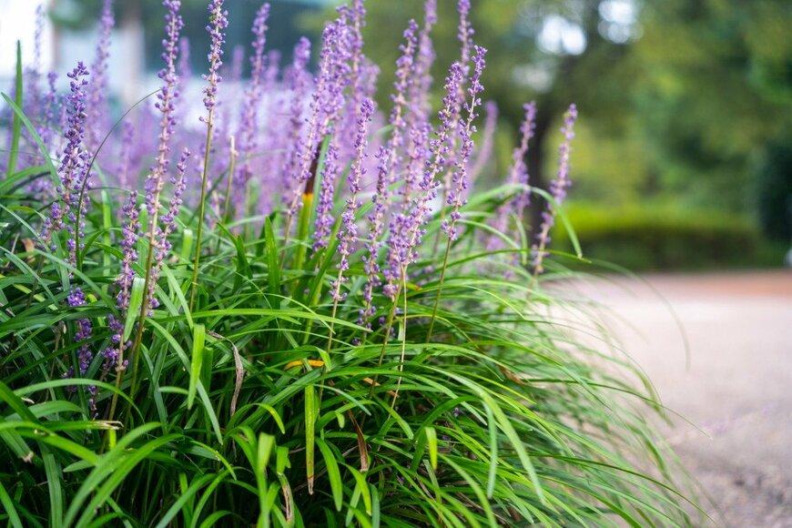 Lee Hyuck/istockphoto.com