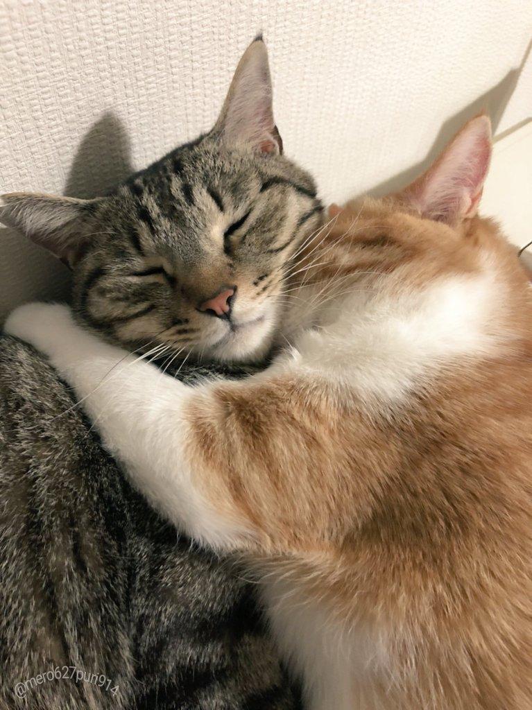 出所：@mero627puri914