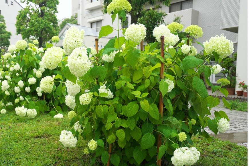 TokioMarineLife/istockphoto.com