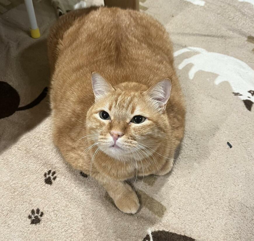 出所：@kagisuzu0531