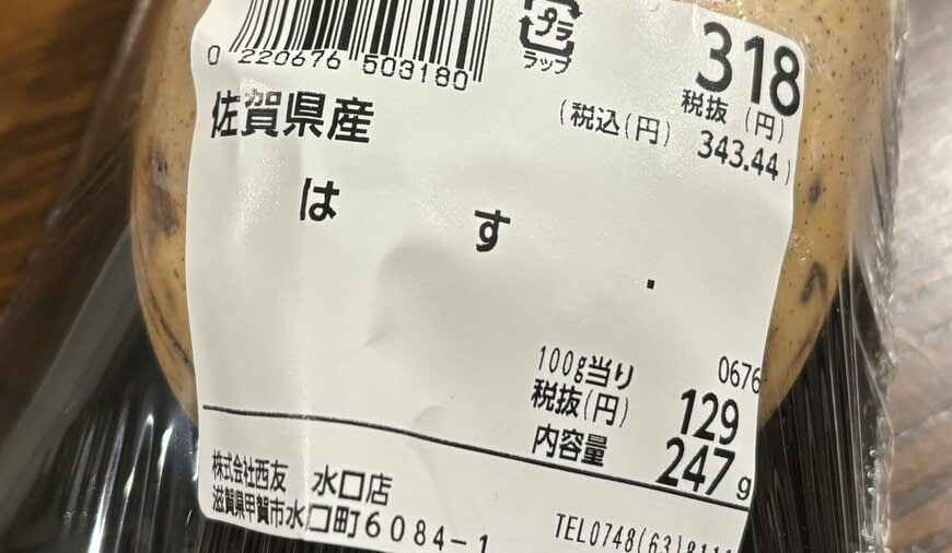 投稿の画像