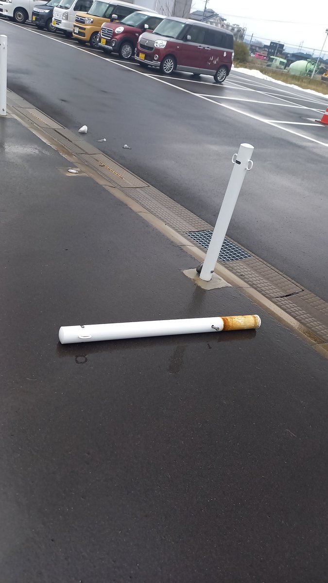 駐車場で発見されたもの