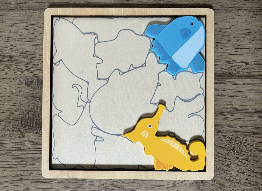 キャンドゥ、木製パズル　水族館　画像