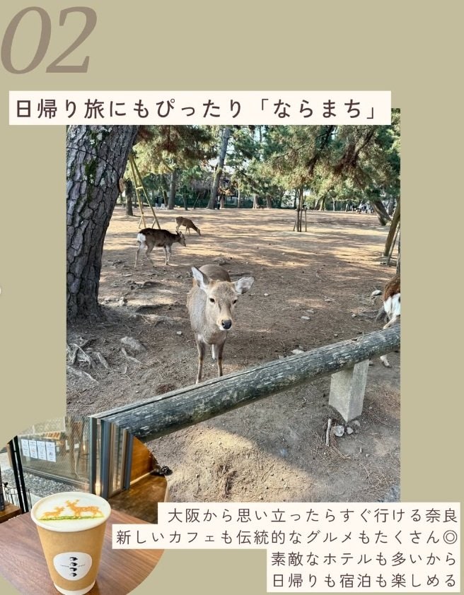 日帰りでも宿泊でも楽しめる「ならまち」
