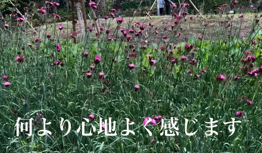 60代の暮らし