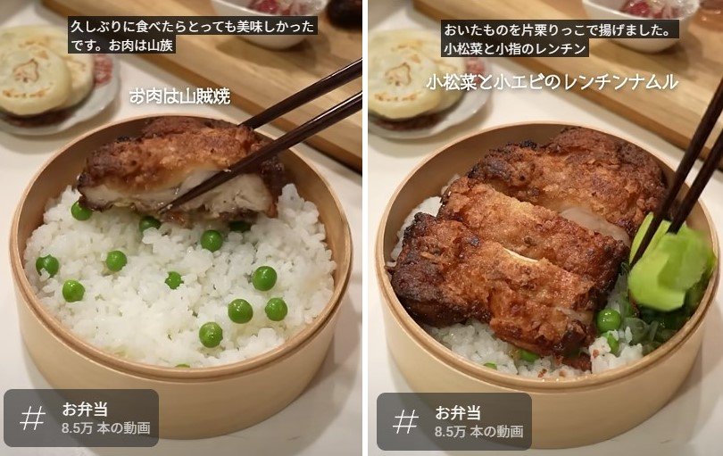 投稿動画のワンシーン