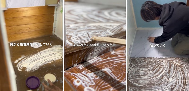 投稿の画像
