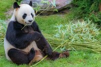 【貯蓄2000万円】50歳代で既にクリアする世帯は何パーセント？老後の「厚生年金・国民年金」も予習しよう