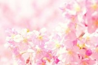 「70歳代夫婦で貯蓄3000万円以上」ほしいが現実は？「厚生年金と国民年金」は2024年4月分から2.7％増額へ