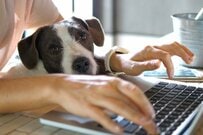 テレワークでみえた「格差と限界」 実は恐ろしい世界が待っている