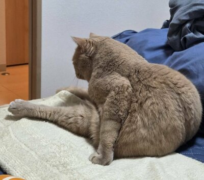 人間味あふれる後ろ姿