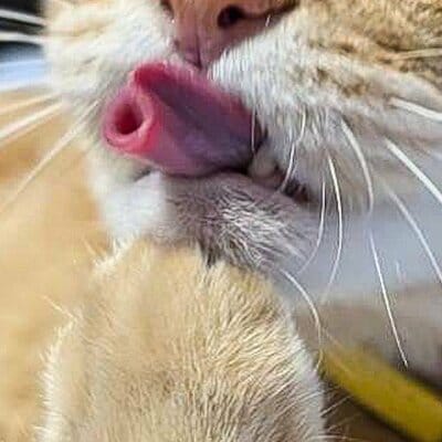 投稿の画像