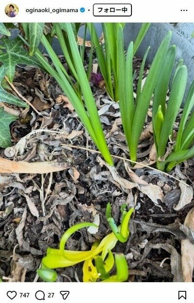 尾木直樹のInstagram投稿