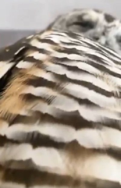 投稿の画像