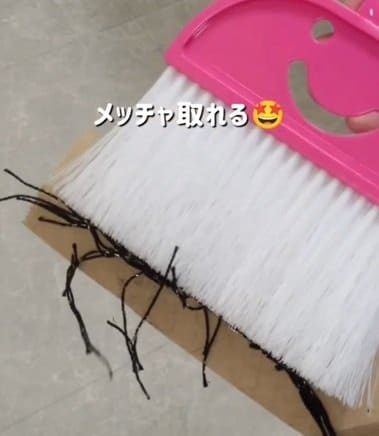投稿の画像
