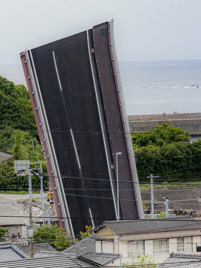 投稿の画像