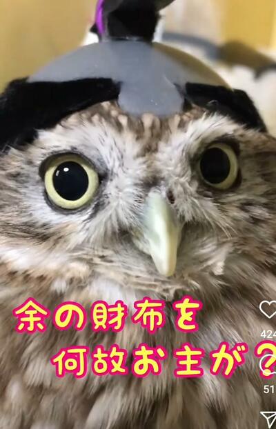 投稿動画のワンシーン