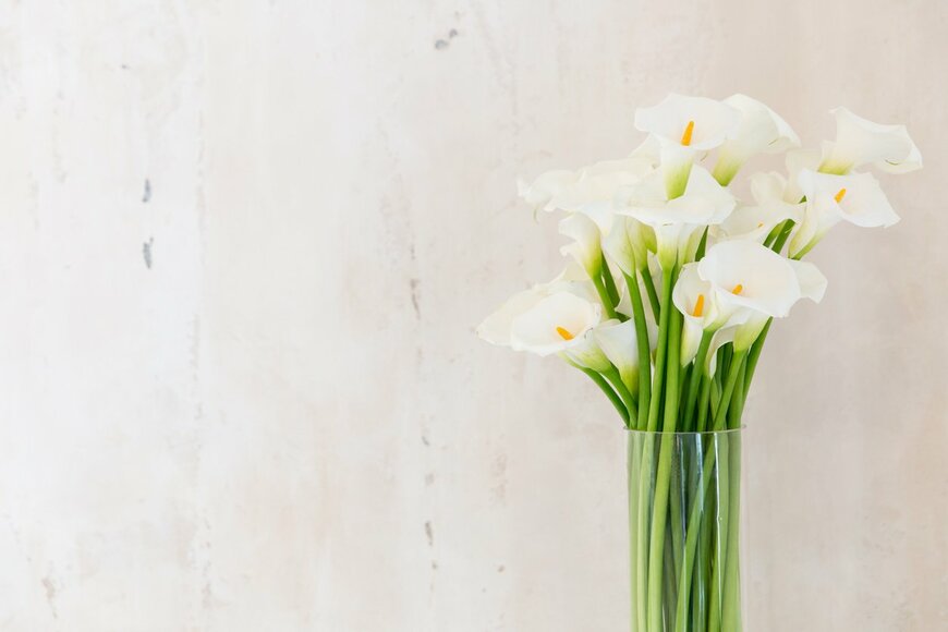 fotosr/istockphoto.com