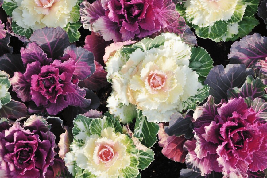 dreamnikon/istockphoto.com