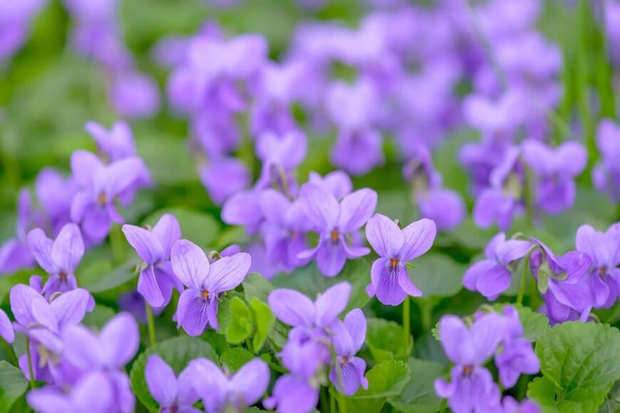 Creatikon Studio/shutterstock.com