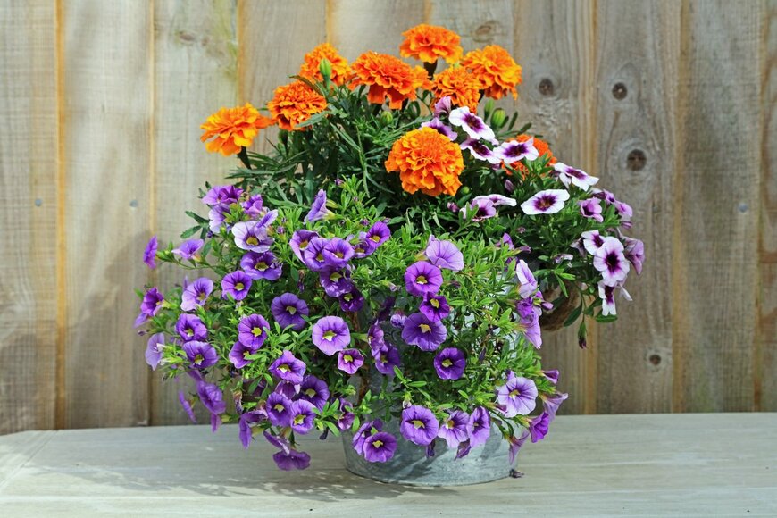 Dean Clarke/shutterstock.com