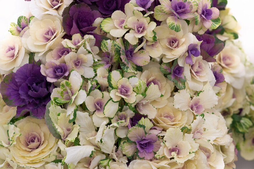 yoshi0511/shutterstock.com