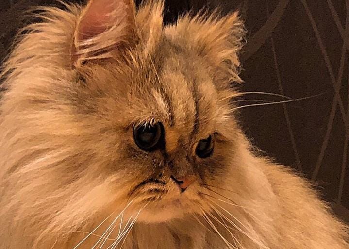 出所：@UphQepCv8J