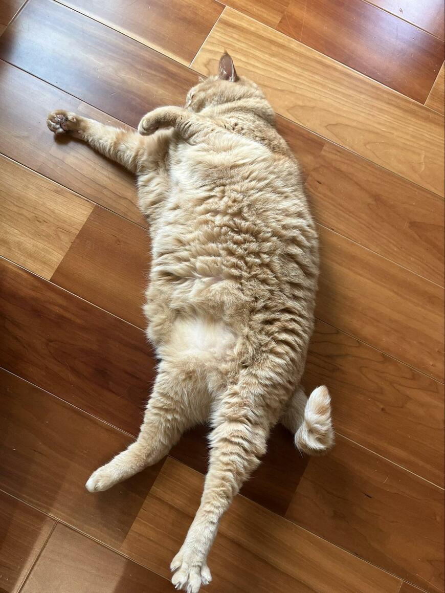 出所：@kagisuzu0531