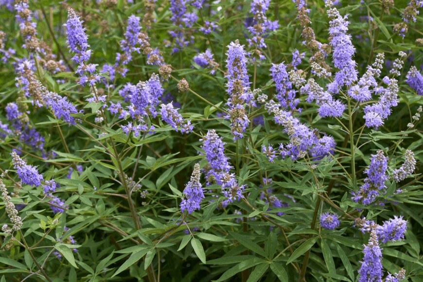 seven75/istockphoto.com