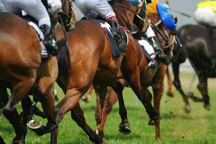 馬ではなく「人」が全力疾走　東京競馬場の芝コースで開催されたイベントに目を疑う