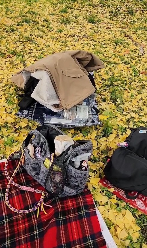 出所：@miki4wan108