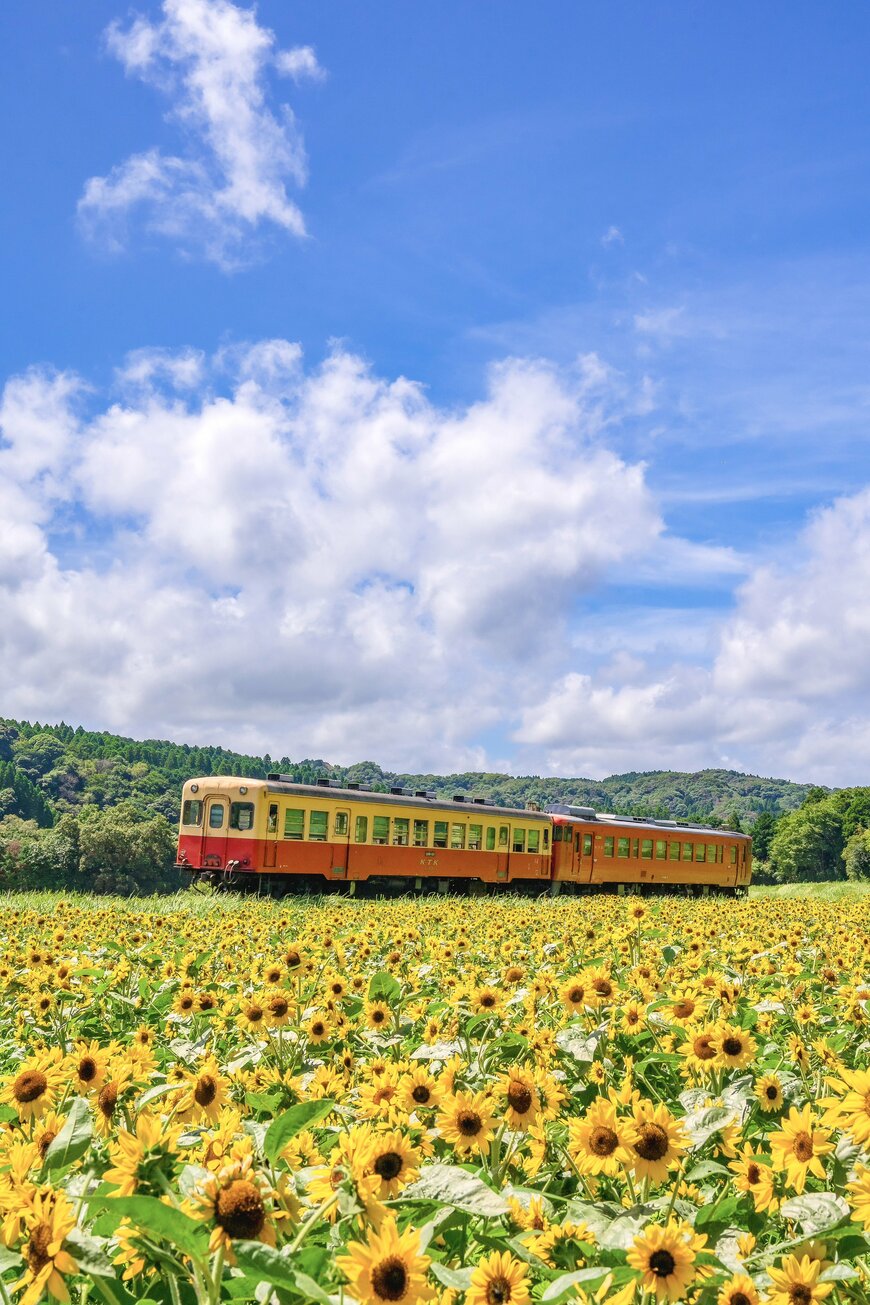 出所：@a_yumi0425